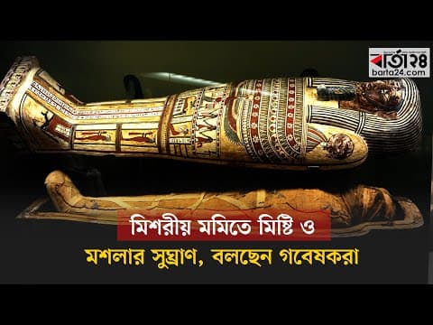 মিশরীয় মমিতে মিষ্টি ও মশলার সুঘ্রাণ, বলছেন গবেষকরা