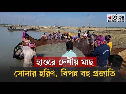 হাওরে দেশীয় মাছ সোনার হরিণ, বিপন্ন বহু প্রজাতি