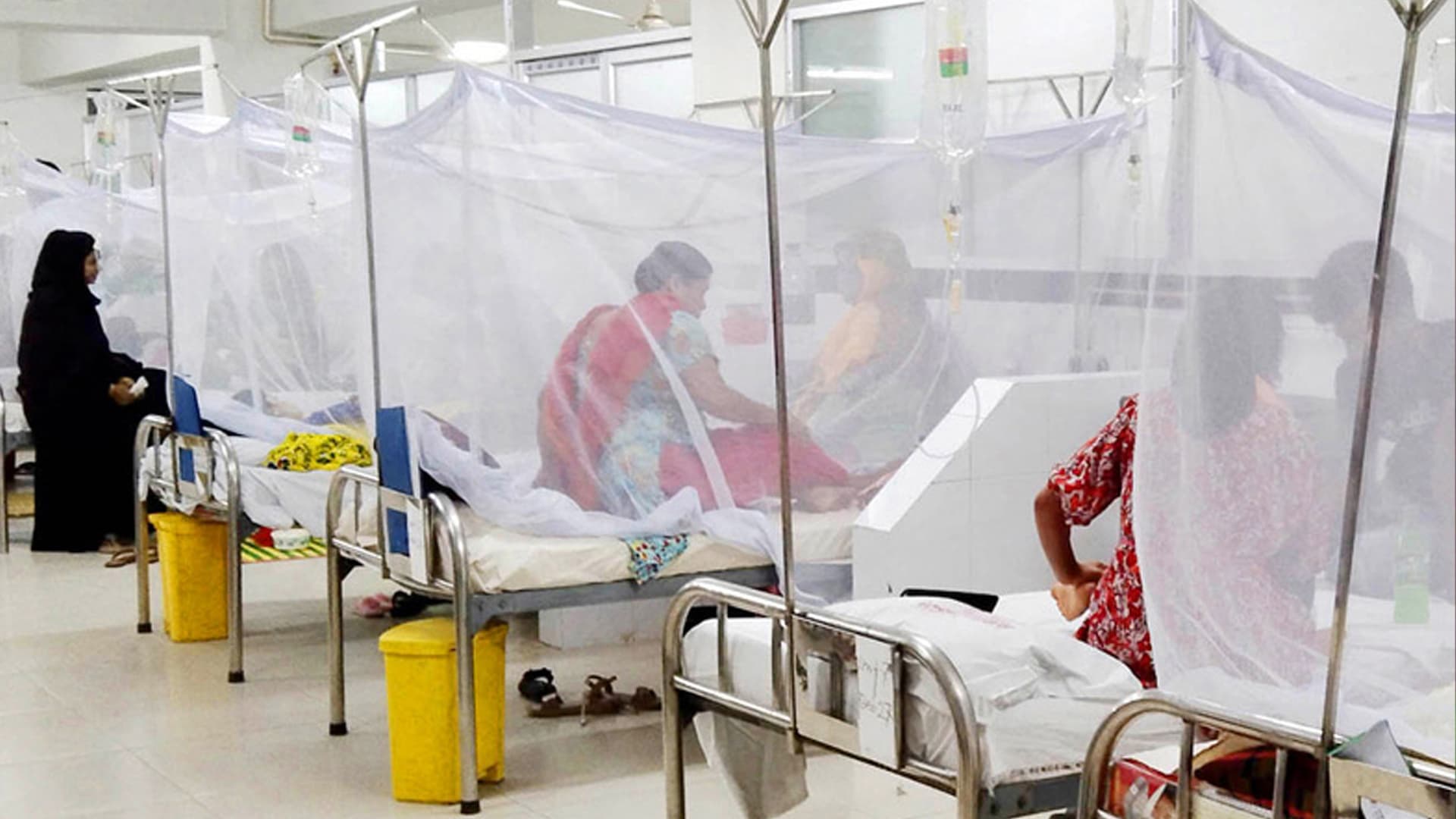 ডেঙ্গুতে গেল আরও ২ প্রাণ, হাসপাতালে ৫১৬