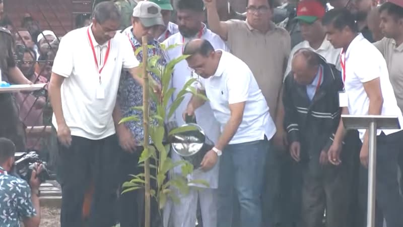 ফেনীর ফুলগাজীতে বৃক্ষরোপণ কর্মসূচির উদ্বোধন করলেন প্রধানমন্ত্রী ফেনীর ফুলগাজীতে বৃক্ষরোপণ কর্মসূচির উদ্বোধন করলেন প্রধানমন্ত্রী